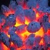 barbecue-fuel2-100h.jpg barbecue-fuel2-100h.jpg
